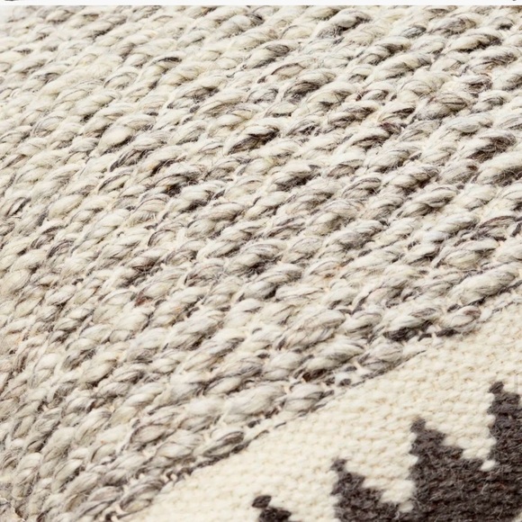 Two Indoor Outdoor Pillows from Wayfair with Cases and Down Pillow inserts - Picture 9 of 10